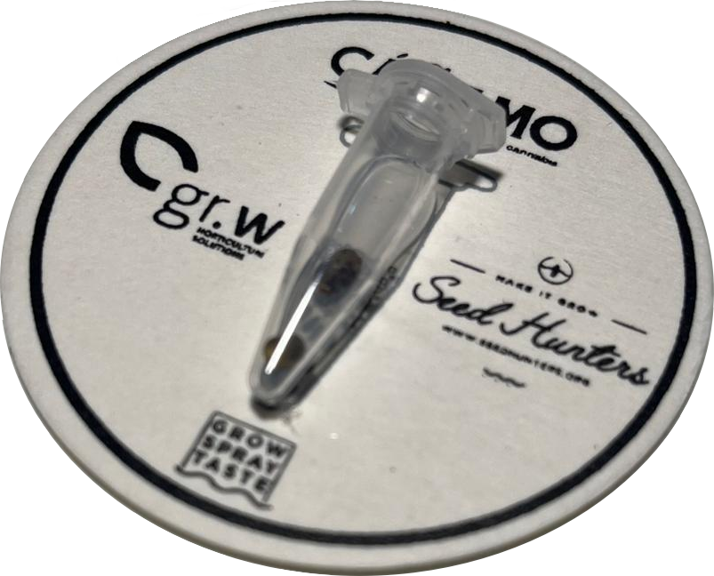 Imagen de las semillas de regalo con el número 300 de la Revista Cáñamo