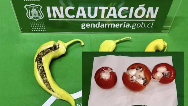 Entre tomates y a pelotazos: así se abastecen las cárceles chilenas con drogas