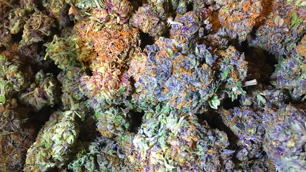 Blue Cookies