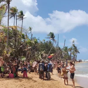 Tribal Gathering Festival