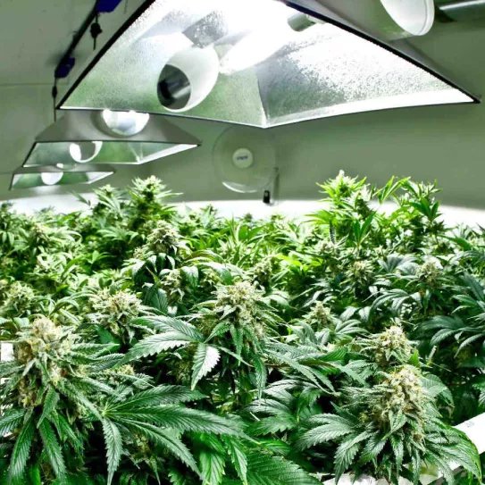 Distancia a las lámparas