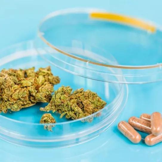 CBD ayuda con la depresión y a dejar otras drogas, dice un informe