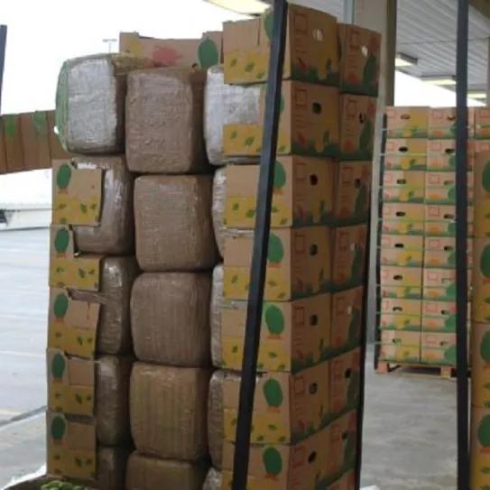 Incautan 1 millón de dólares en marihuana escondida en plátanos