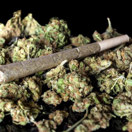 Irlandeses dejan la cocaína por el cannabis durante la crisis del COVID-19