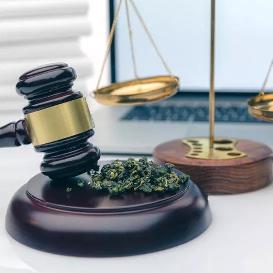 California preparada para eliminar 11.500 registros de delitos relacionados con el cannabis