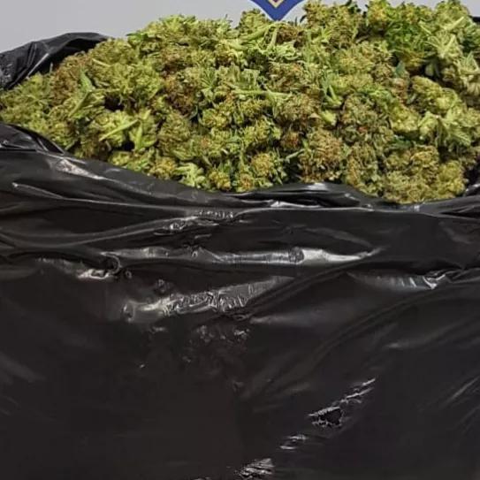 <blockquote class="twitter-tweet"><p lang="ca" dir="ltr">Un traficant es desplaça en patinet amb una bossa d'escombraries on amagava 15 kg de marihuana al districte de Sant Martí (BCN). L'enxampem i el detenim <a href="https://t.co/feK0dDLeOq">https://t.co/feK0dDLeOq</a> <a href="https://t.co/ORnWlJPs0r">pic.twitter.com/ORnWlJPs0r</a></p>&mdash; Mossos (@mossos) <a href="https://twitter.com/mossos/status/1262630916029059072?ref_src=twsrc%5Etfw">May 19, 2020</a></blockquote> <script async src="https: