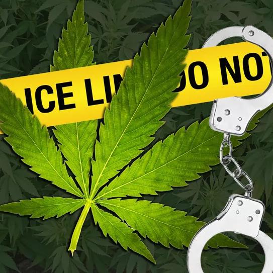 Virginia descriminaliza las pequeñas cantidades de cannabis el 1 de julio