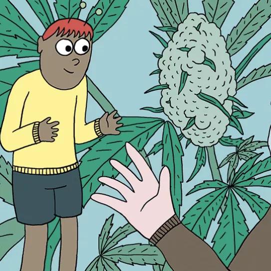 9 Trucos para cultivadores PORTADA