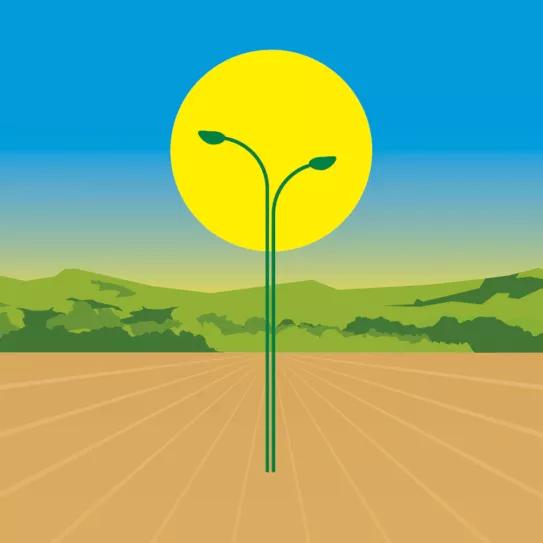 Lunario de mayo del 2019 