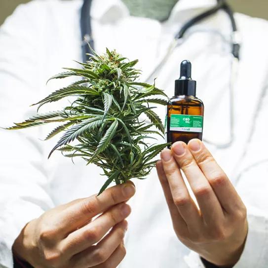 El Senado de Luisiana aprueba una ley que amplía el acceso a la marihuana medicinal