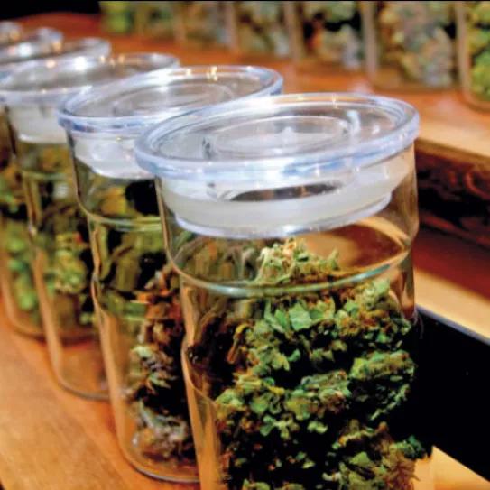 Recipientes con marihuana