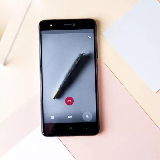 Imagen de un porro en una videollamada