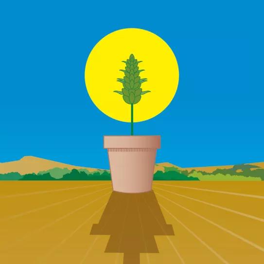 Ilustración: Lunario Junio 2020