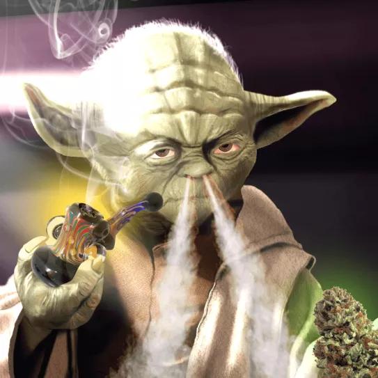 9 variedades de cannabis inspiradas en Star Wars