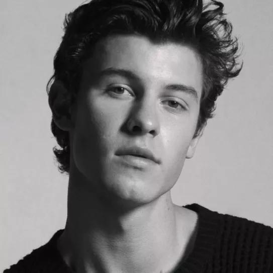 Shawn Mendes Facebook pic