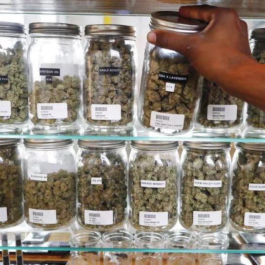 Pacientes de Montana podrán comprar marihuana en el dispensario que quieran