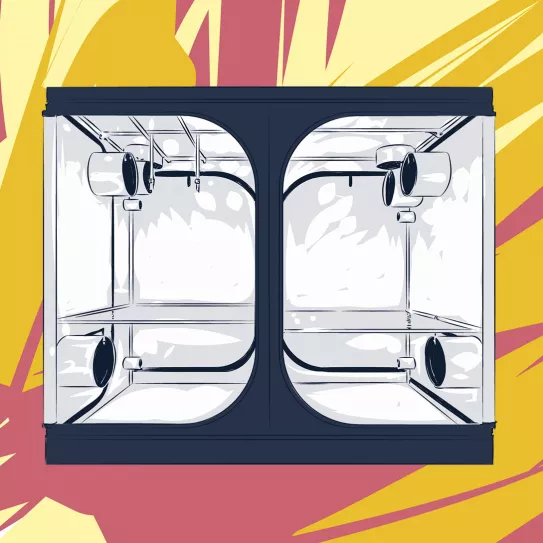 Ilustración: Invernadero