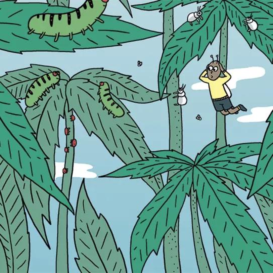 Ilustración: 10 consejos plagas