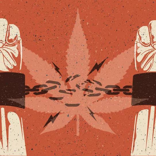 Asamblea de Nueva Jersey descriminaliza el cannabis