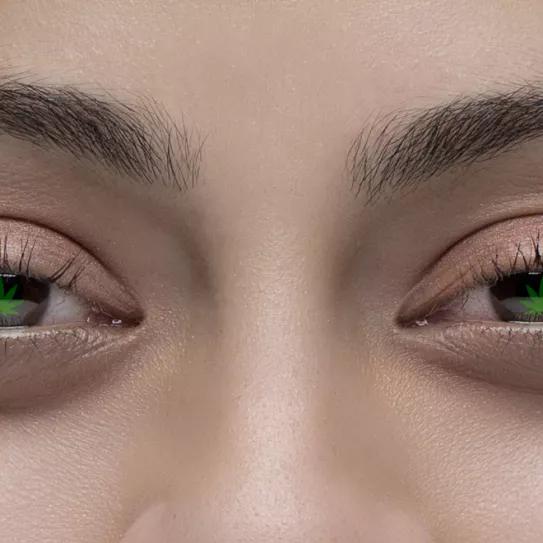 ¿Qué método de consumo de cannabis te coloca más rápido?