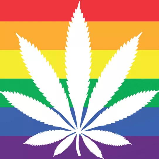 Marihuana más "moral" que la homosexualidad y el porno, según encuesta