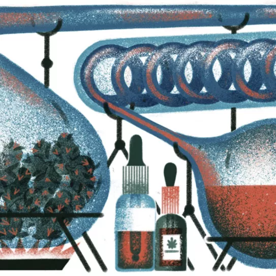 Ilustración: Productos con cannabis