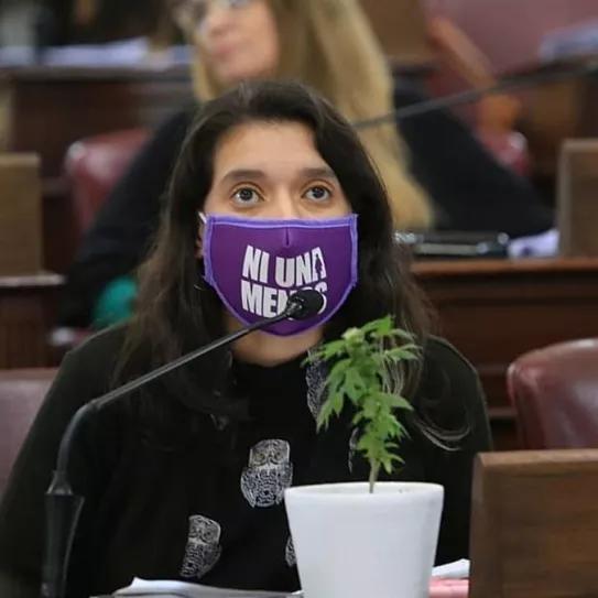 Las diputada argentina Agustina Donnet  en la sesión de la Cámara de Diputados con una planta de marihuana.