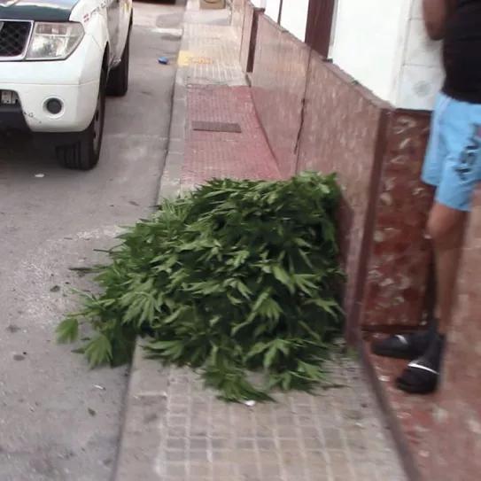 Redada en 19 viviendas de Cádiz