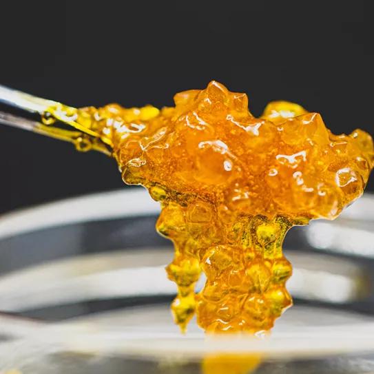 Extractos de cannabis que triunfan en el 710