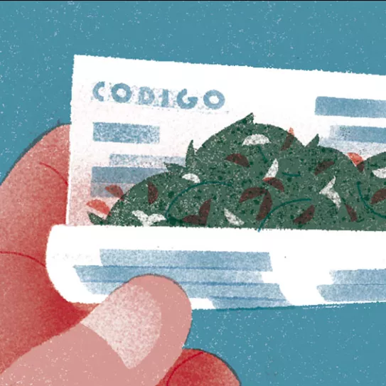 Ilustración: Canuto con el código civil 