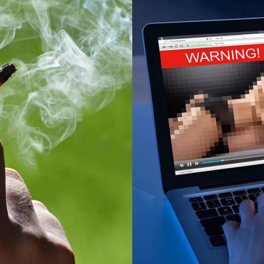 El consumo de porno y marihuana creció durante la cuarentena pero, ¿cuál lo hizo mejor?