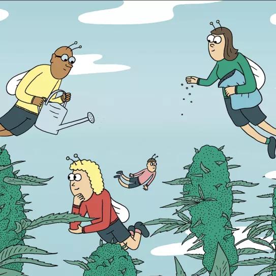 PORTADA Nueve consejos 