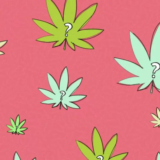 Situación kafkiana. Editorial #272