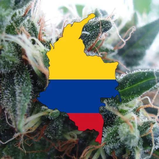 En qué consiste la ley que pretende legalizar el cannabis en Colombia