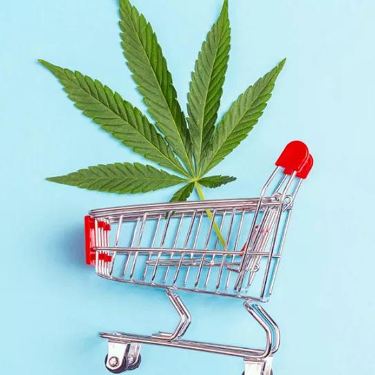 Venta de marihuana legal se dispara en todo EE.UU.