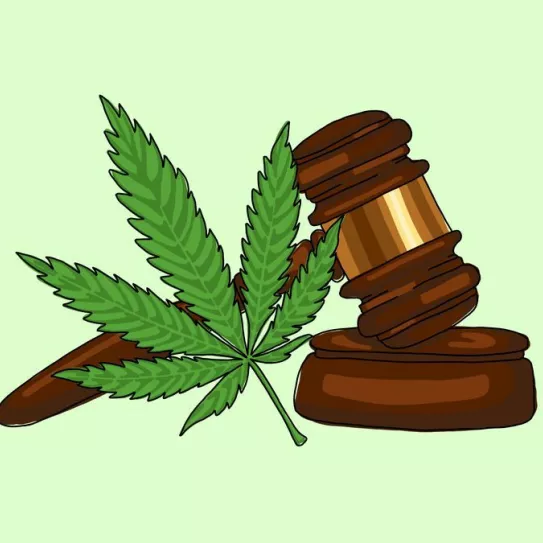 Pena máxima por delito de tráfico de cannabis