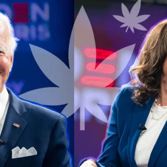 Kamala Harris asegura que Joe Biden descriminalizará el cannabis a nivel federal