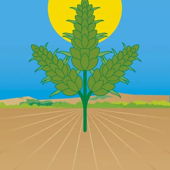 Lunario Septiembre 2020