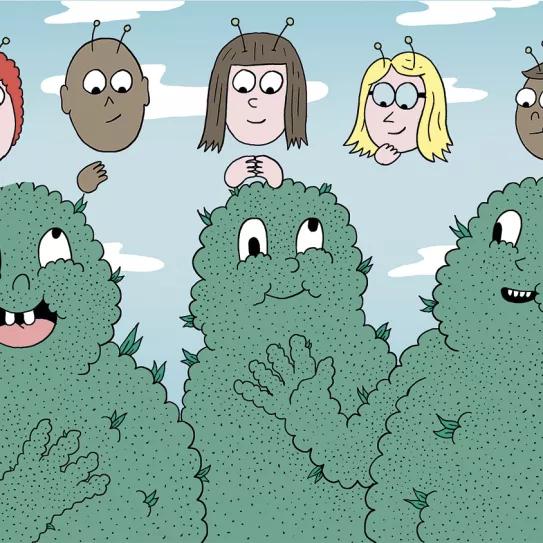 Diez trucos para engordar cogollos