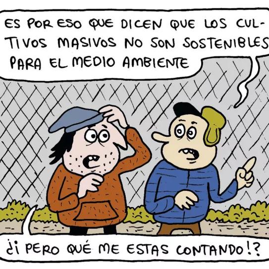 Abarrots  - La fiebre del oro verde PORTADA