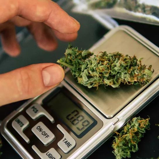 El octavo de marihuana, ¿Cuánto me llevo?
