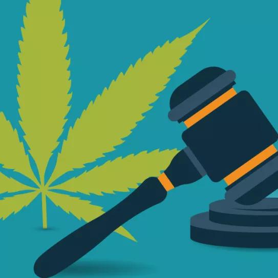 Algunas de las razones por las que legalizar el cannabis