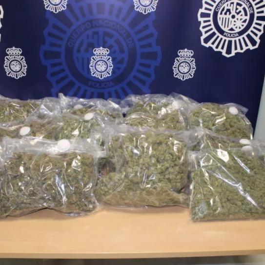 Incautado en Granada, Motril y Baza 9.000 plantas y 39 kilos de hachís