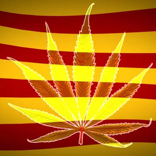 Cataluña capital del tráfico de marihuana de Europa