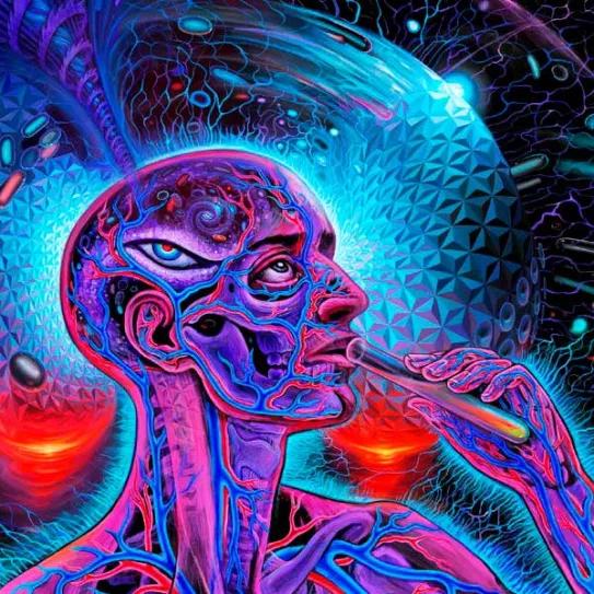 DMT promueve la neurogénesis, mejora la memoria y el aprendizaje espacial