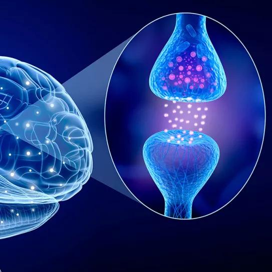  ¿Qué es lo que te coloca y te hace sentir bien del cannabis?