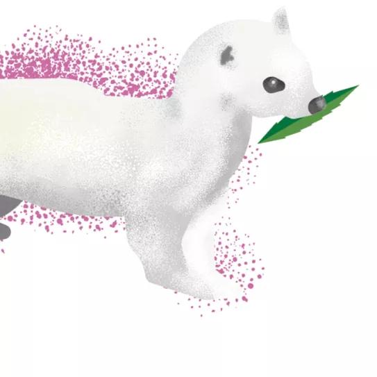 Ilustración: animalons