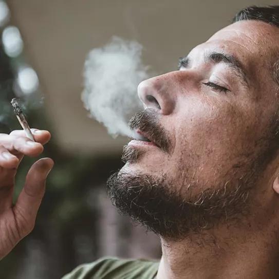 Casi la mitad de los consumidores de cannabis estadounidenses tienen más de 40 años