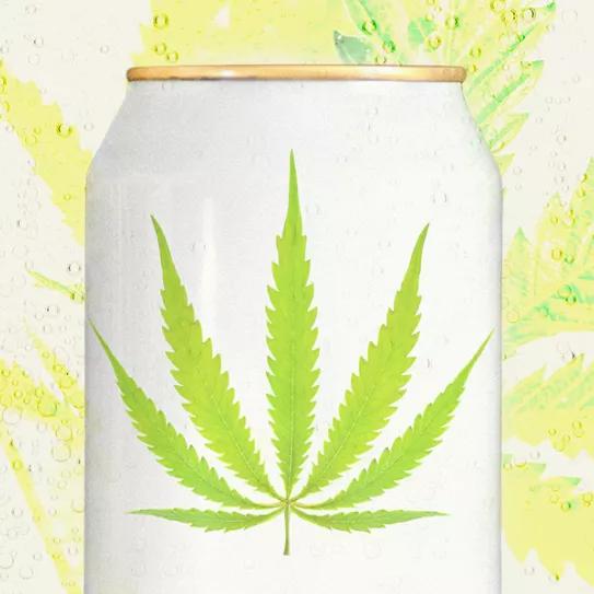 9 bebidas cannábicas