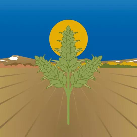 Lunario Noviembre 2020